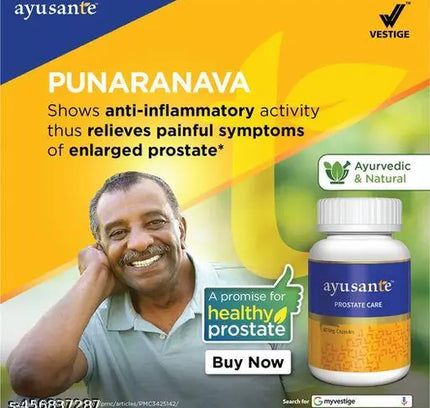 Vestige Ayusante Prostate Care (60N)