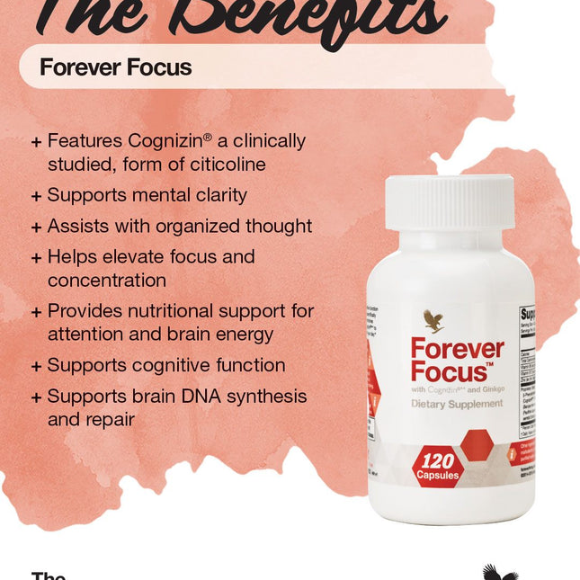 FOREVER FOCUS (120 N)