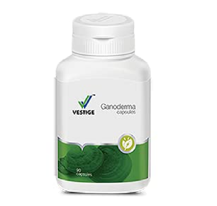 Vestige Ganoderma (90N)