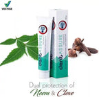 Vestige Dentassure Toothpaste (100g) - Pack of 20