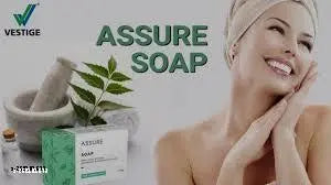 Vestige Assure Soap Neem, Tulsi & Pudina - 100g (Pack of 10)