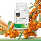 Vestige Prime Sea Buckthorn (60N)