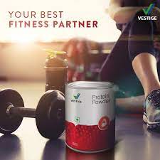 Vestige Protein Powder (500G)