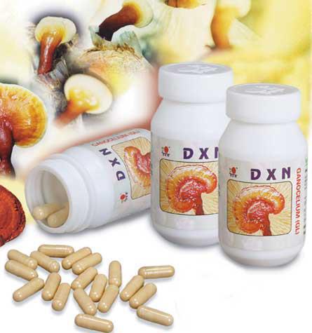 DXN GANOCELIUM GL (360N)