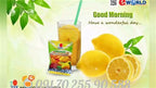DXN LEMONZHI (20G X 25N)