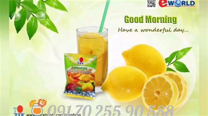 DXN LEMONZHI (20G X 25N)