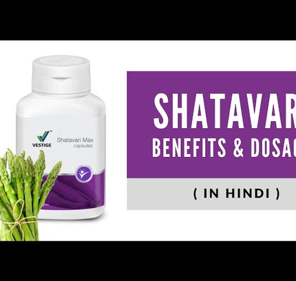 Vestige Shatavari Max (90N)