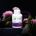 Vestige Cranberry (60N)