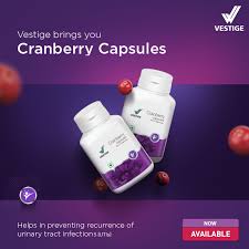 Vestige Cranberry (60N)