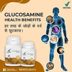 Vestige Glucosamine (100N)